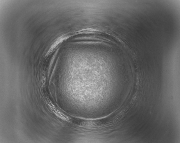 X0000085741355200703301417