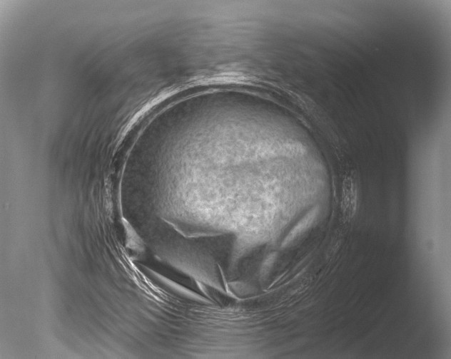 X0000085741356200703301417