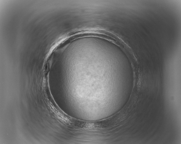 X0000085741360200703301417