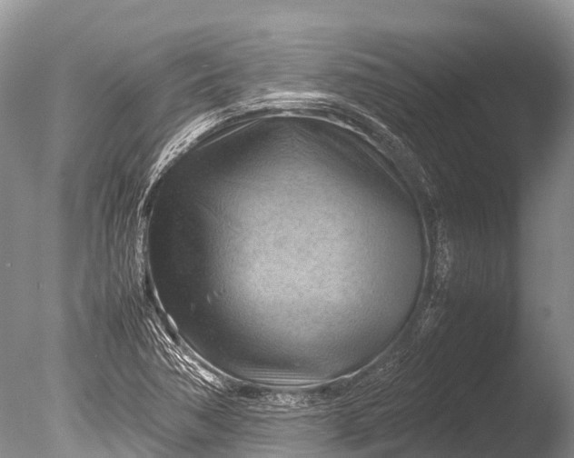 X0000085741362200703301417
