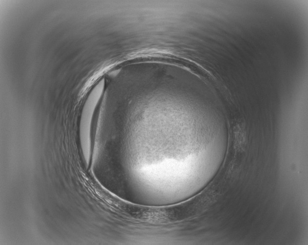 X0000085741363200703301417