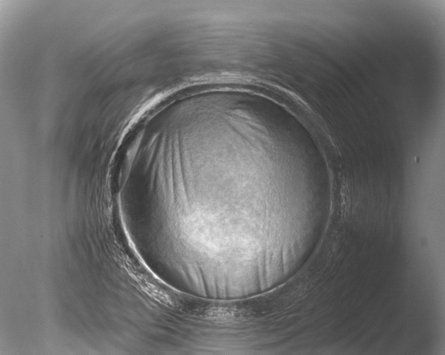 X0000085741364200703301417