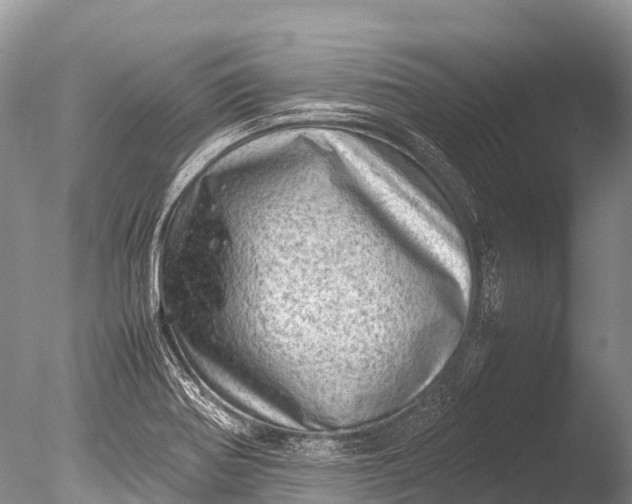 X0000085741370200703301417