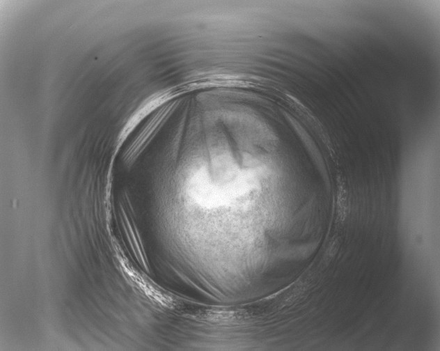 X0000085741378200703301417