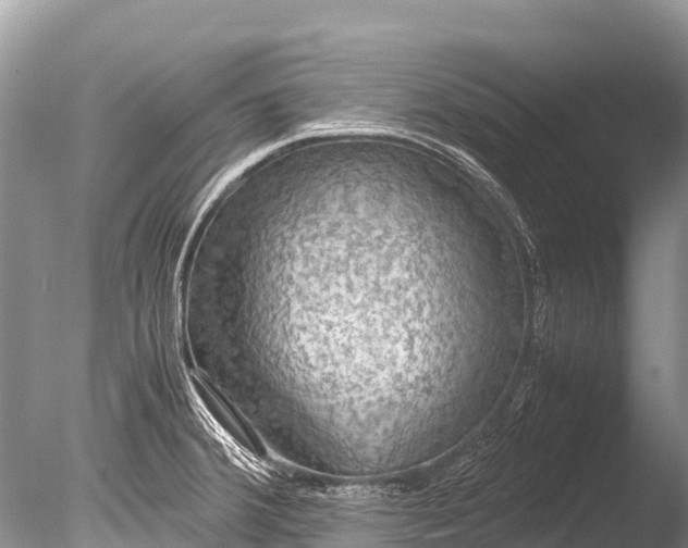 X0000085741380200703301417