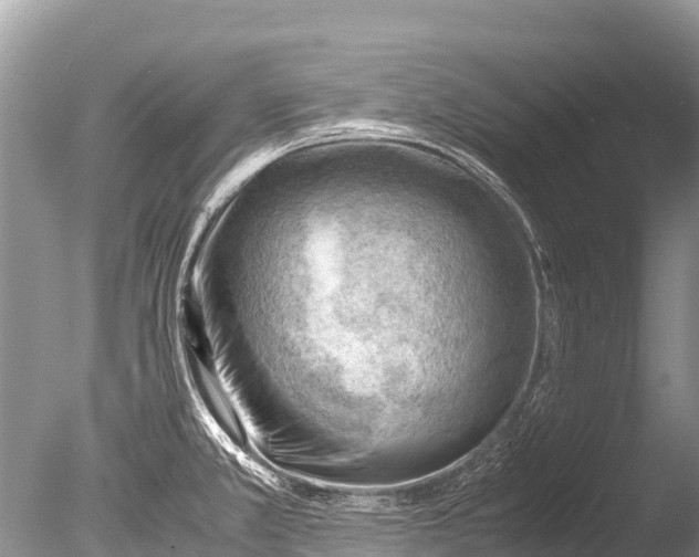 X0000085741381200703301417