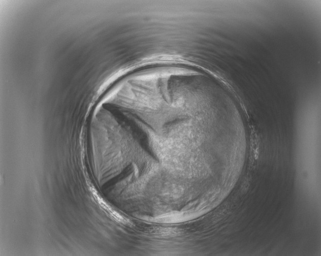 X0000085741382200703301416