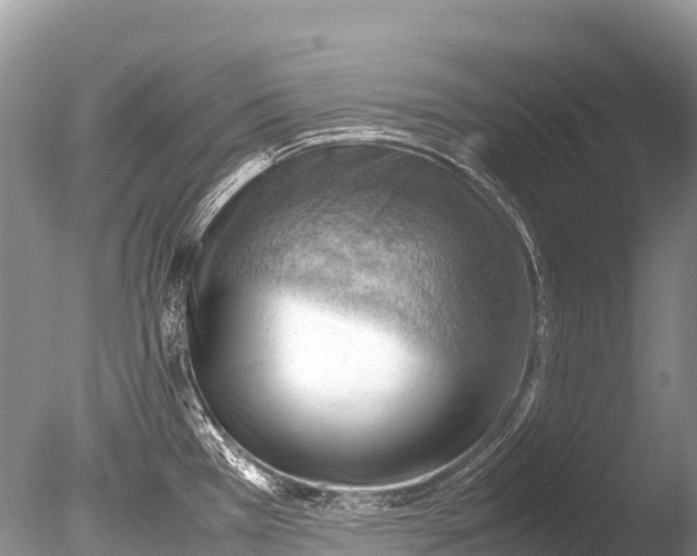 X0000085741385200703301416