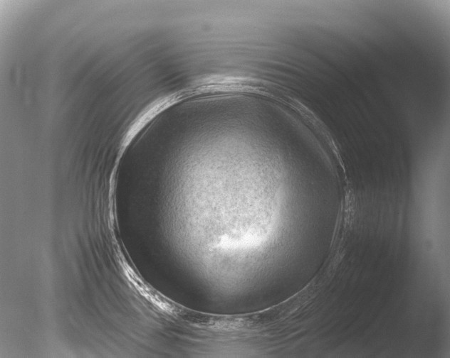 X0000085741386200703301416