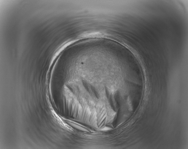 X0000085741392200703301416