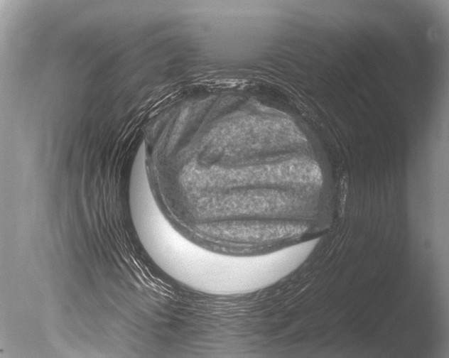 X0000085741394200703301416