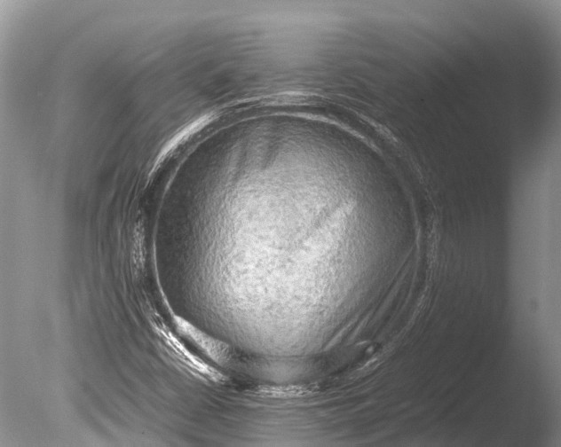 X0000085741402200703301416