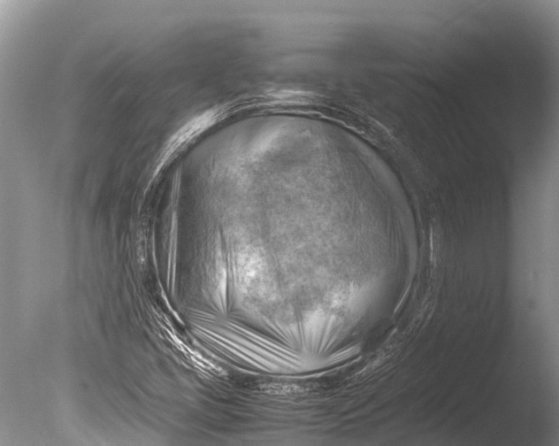 X0000085741405200703301416