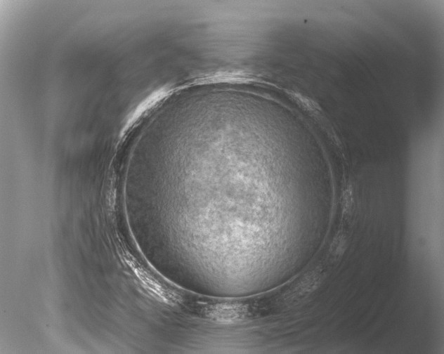 X0000085741406200703301416