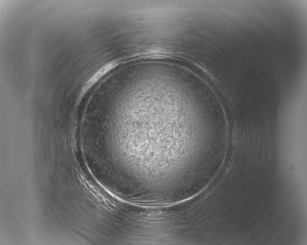 X0000085741410200703301416