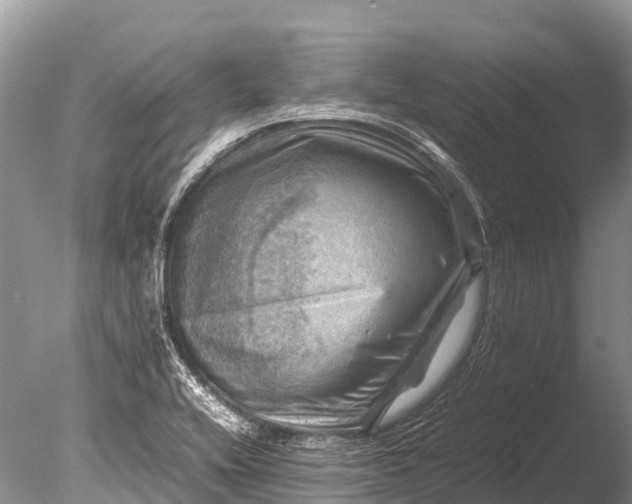 X0000085741416200703301416