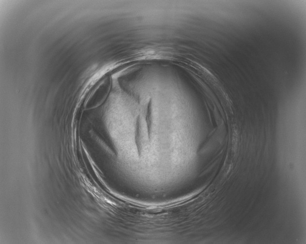 X0000085741419200703301416