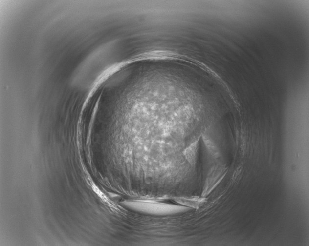 X0000085741421200703301416