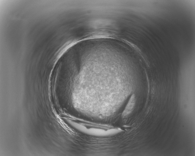 X0000085741423200703301416