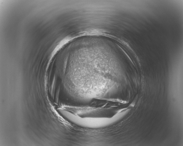 X0000085741424200703301416