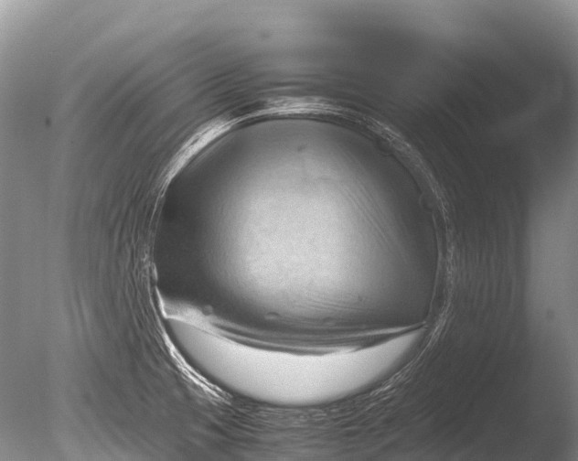 X0000085741425200703301416