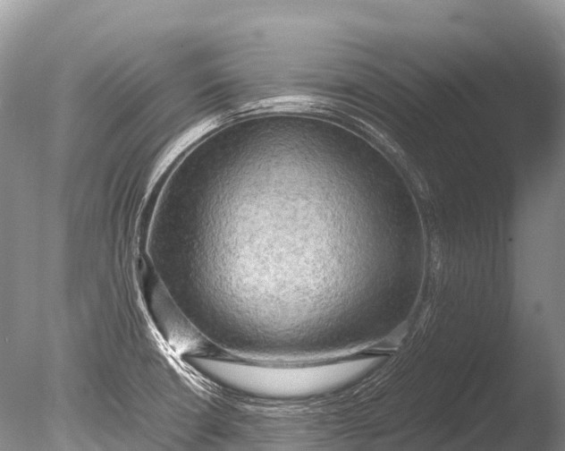 X0000085741426200703301416