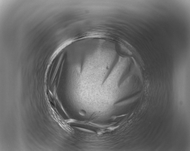 X0000085741427200703301416