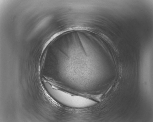 X0000085741428200703301416