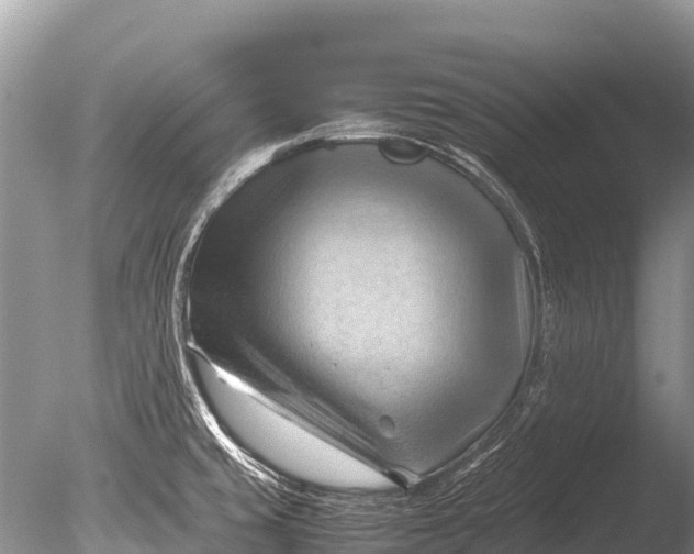 X0000085741429200703301416