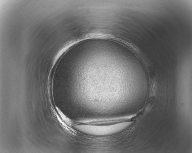 X0000085741430200703301416