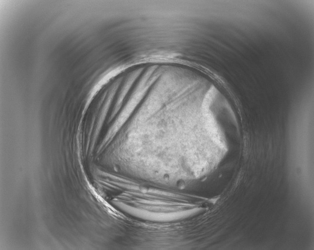 X0000085741432200703301416