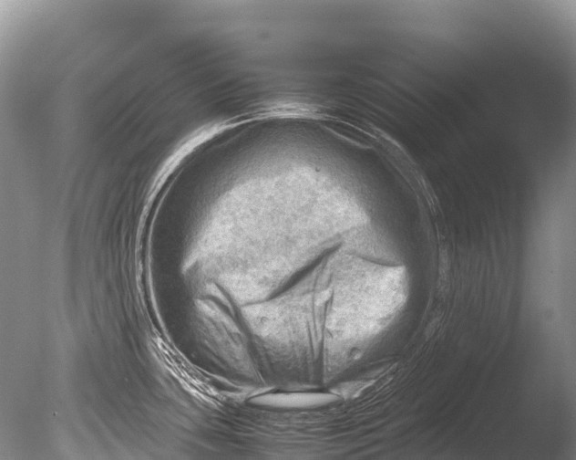 X0000085741435200703301416