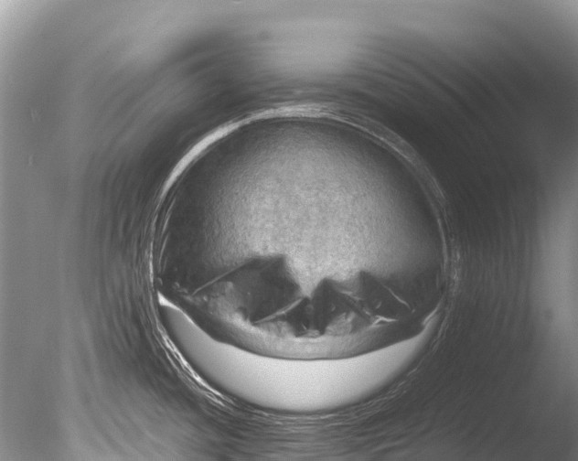 X0000085741436200703301416