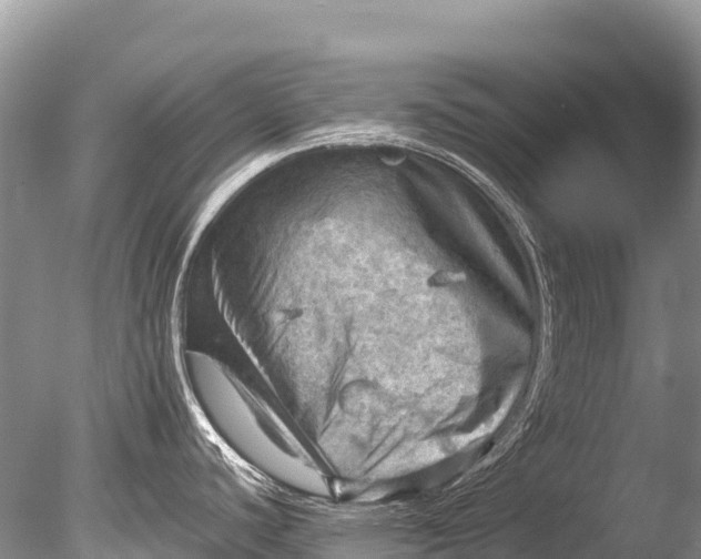 X0000085741440200703301416