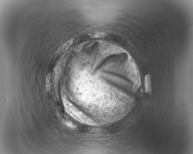 X0000085741443200703301415