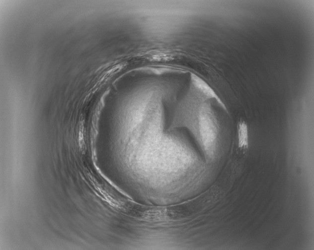 X0000085741444200703301415