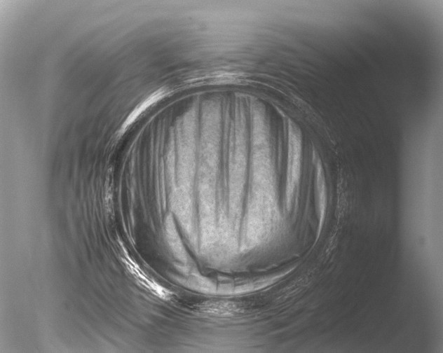 X0000085741450200703301415