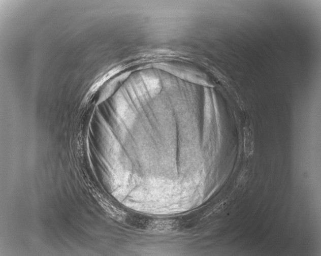 X0000085741453200703301415