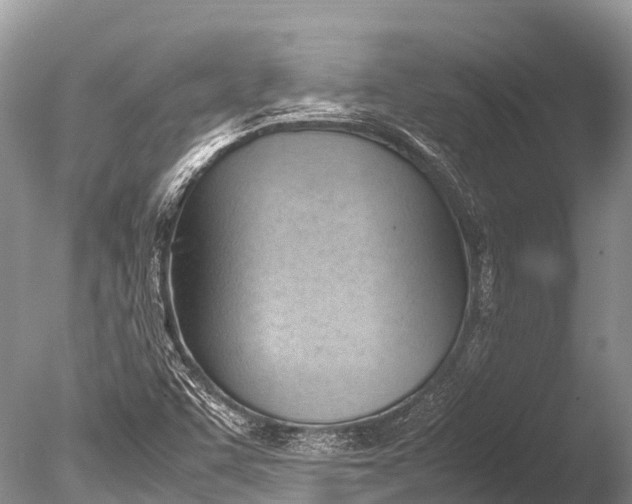 X0000085741455200703301415