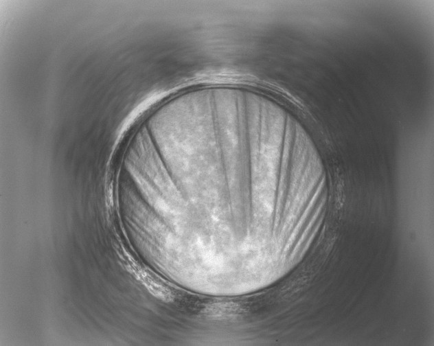 X0000085741462200703301415