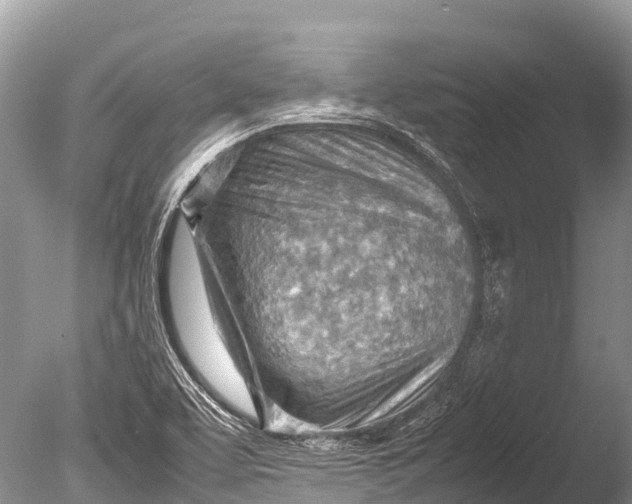 X0000085741463200703301415