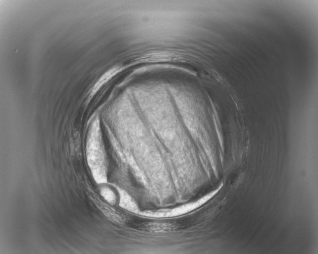 X0000085741465200703301415