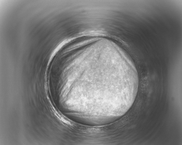 X0000085741470200703301415