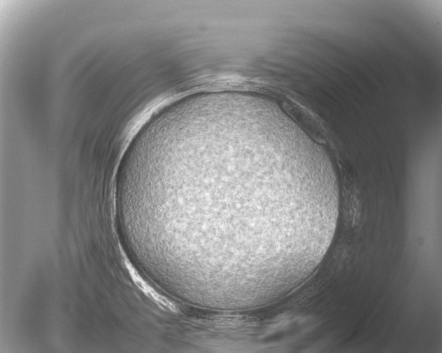 X0000085741479200703301415