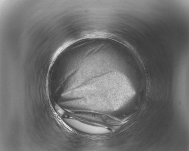 X0000085741480200703301415