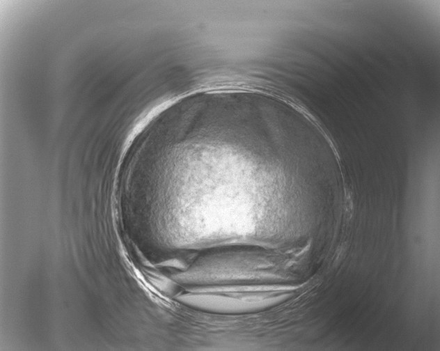 X0000085741485200703301415