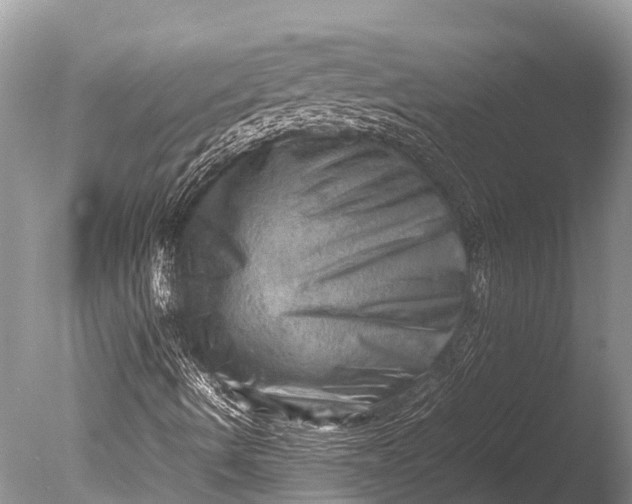 X0000085741490200703301414