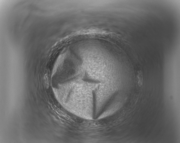 X0000085741493200703301414