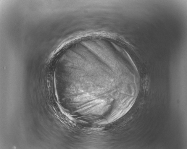 X0000085741496200703301414