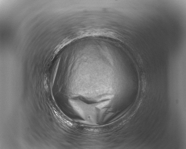X0000085741497200703301414